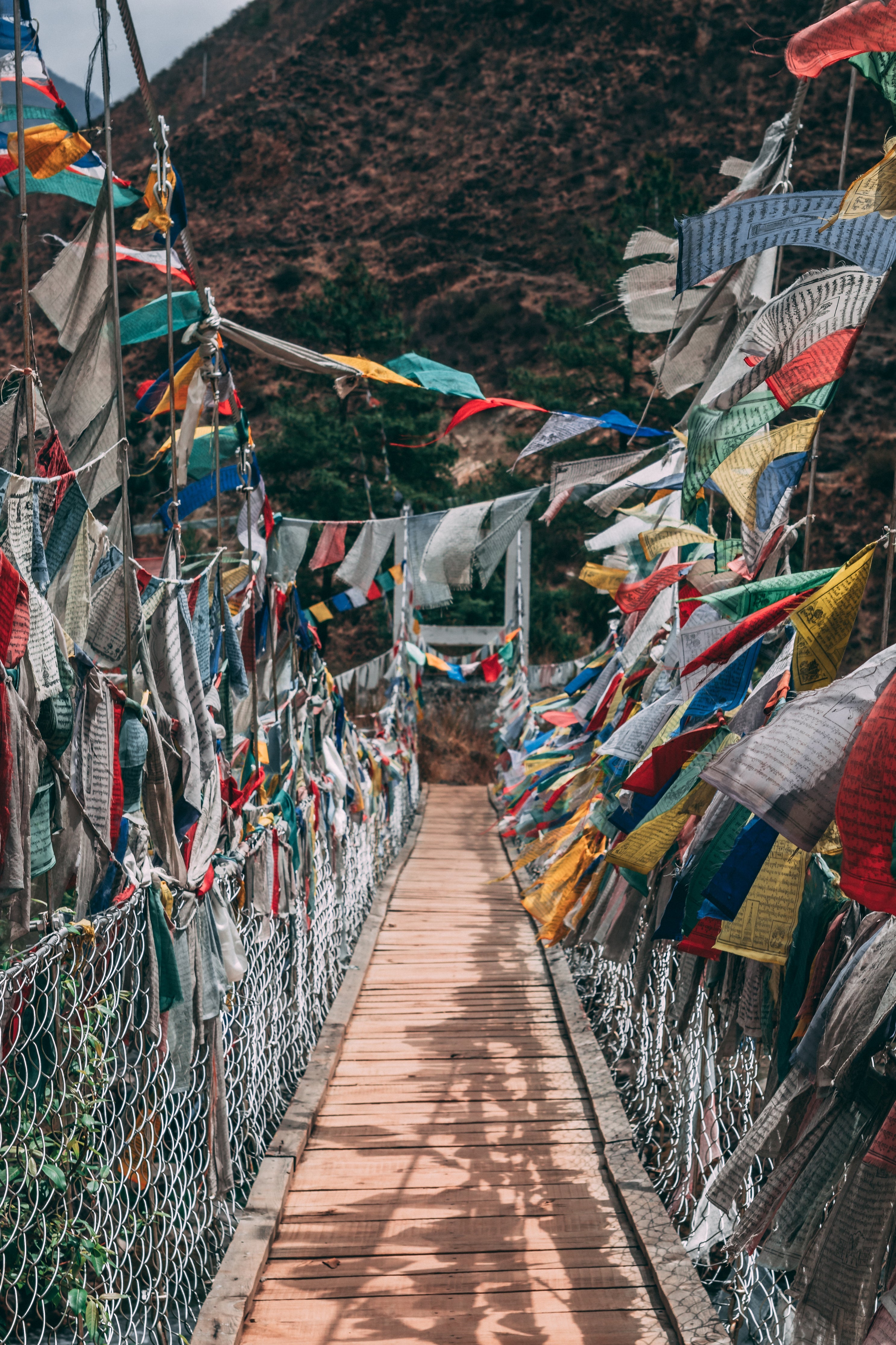 Prayer Flags - Tara Print