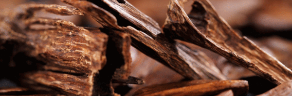 Agarwood