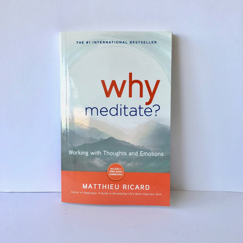 Why Meditate? by Matthieu Ricard