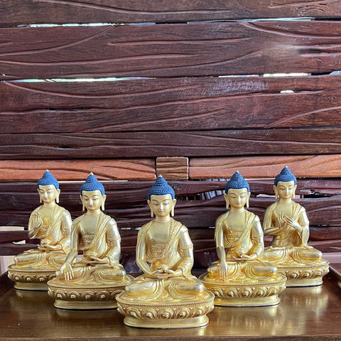 Five Dhyani Buddhas 8 Inch - set of 5