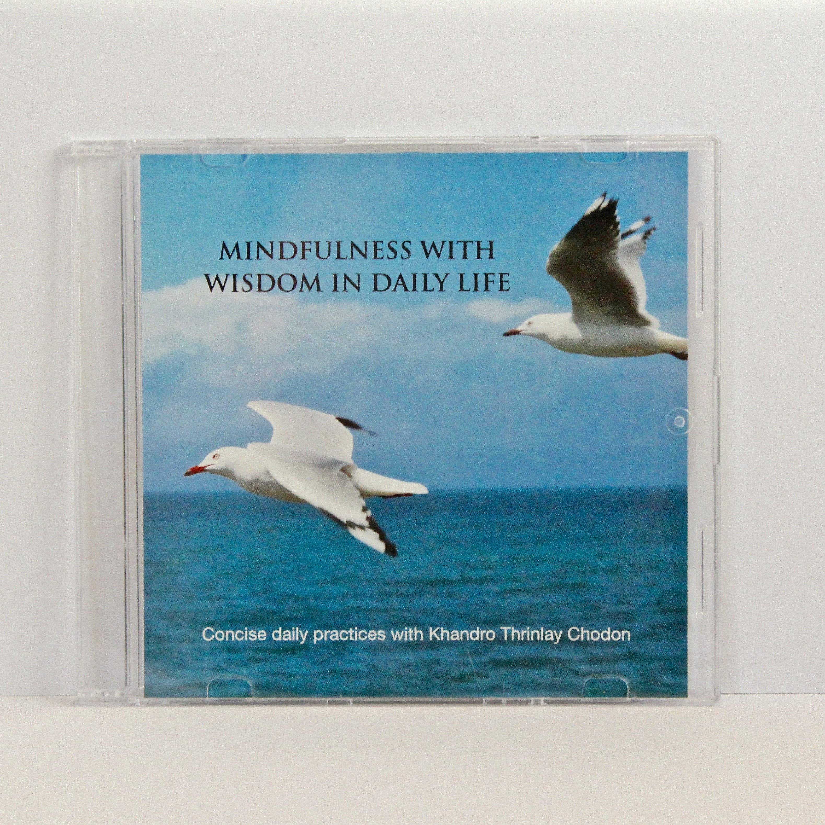 Mindfulness with Wisdom in Daily Life CD