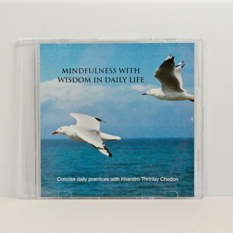 Mindfulness with Wisdom in Daily Life CD