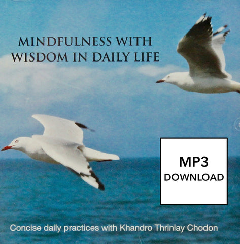 Mindfulness with Wisdom in Daily Life CD - MP3 Download